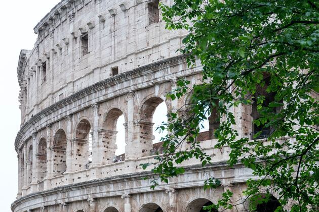Particolare del Colosseo, Roma